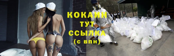 Альфа ПВП Арсеньев