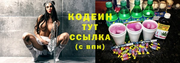 крисы Армянск