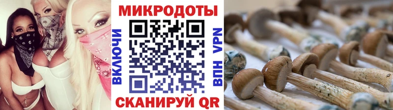 Галлюциногенные грибы Magic Shrooms  нарко площадка как зайти  Судак 
